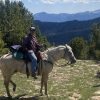 Playboy 2016 AQHA Palomino Gelding - Image 9