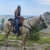 Playboy 2016 AQHA Palomino Gelding - Image 8