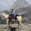 Playboy 2016 AQHA Palomino Gelding