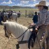 Smokey’s dazn cat AQHA - Image 3
